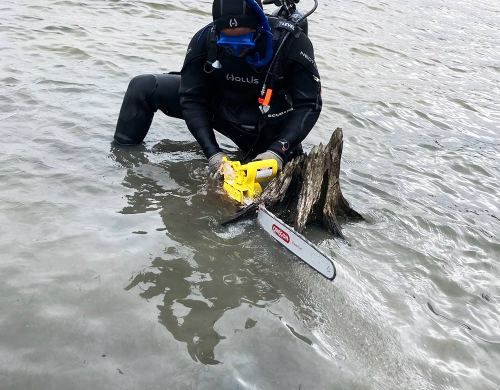 underwater-tree-removal