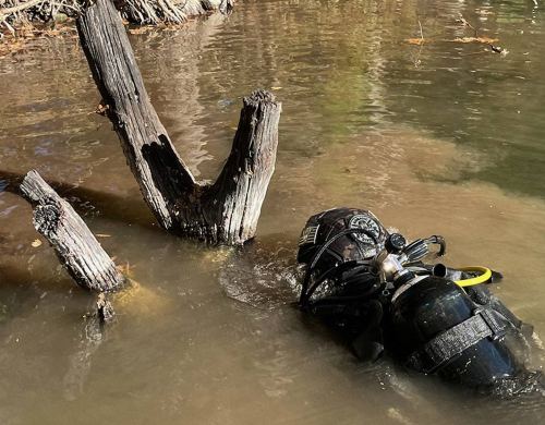 underwater-tree-stump-removal-near-me.2jpg