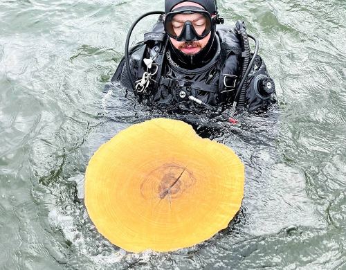 underwater-tree-stump-removal-near-me