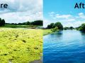 before-and-after-best-lake-weed-killer-ponds-texas