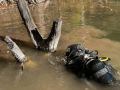 underwater-tree-stump-removal-near-me.2jpg