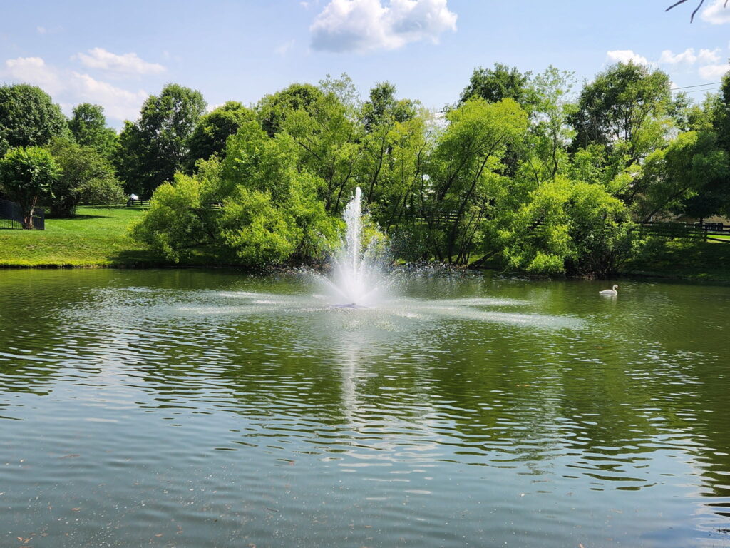 Fountain with Swan in Pond