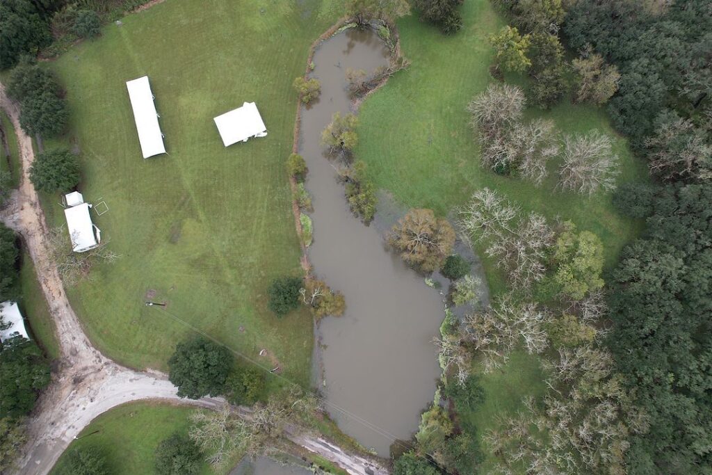 Before Milfoil Removal & Lake Dye