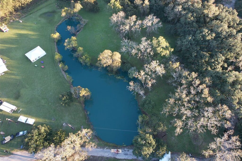 After Milfoil Removal & Lake Dye